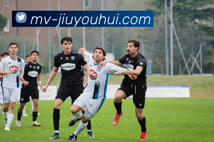 九游会J9官网服务体系